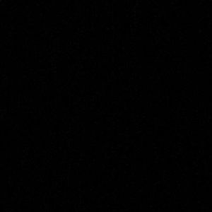 Meet your Posher, Dakota